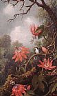 Hummingbird and Passionflowers by Martin Johnson Heade